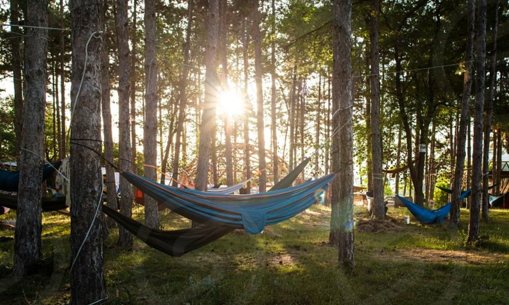 Hammock + Hangout in the Arboretum!