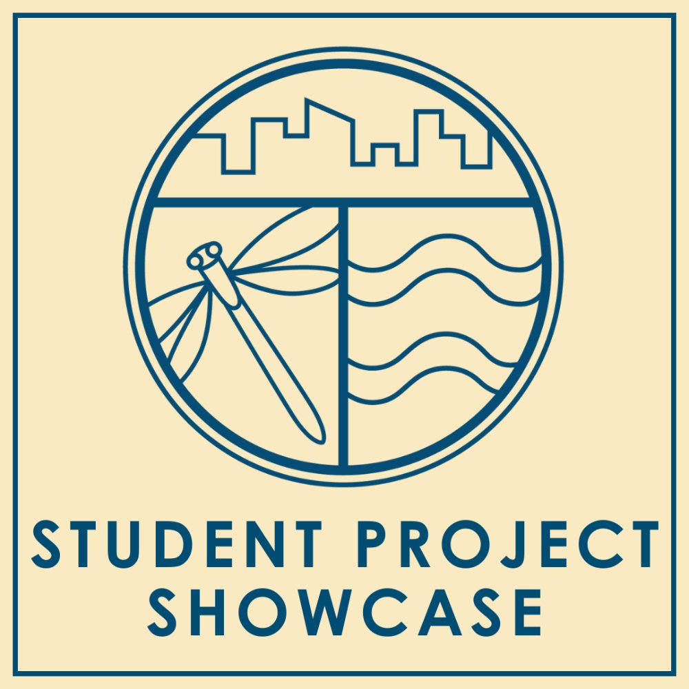 Groundswell Student Project Showcase Thumbnail