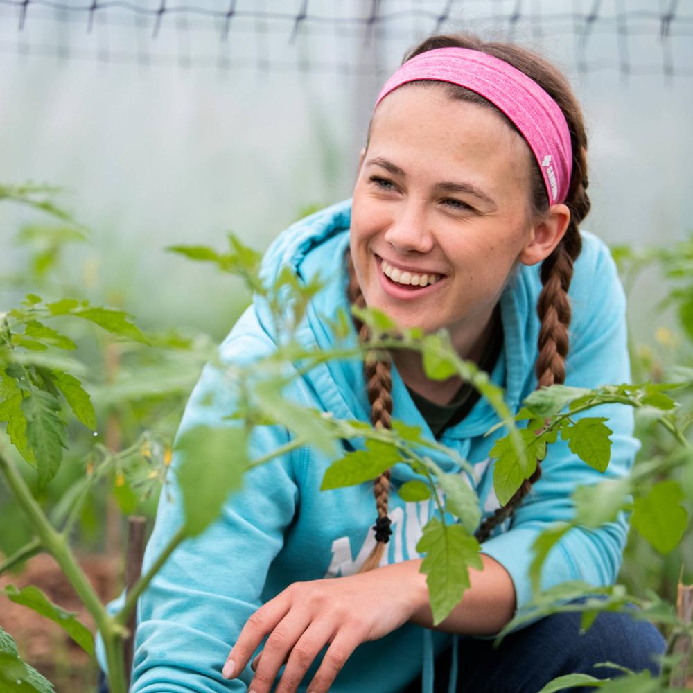 Elizabeth Koetje smiles while weeding around tomato plants at GVSU&yacute;s Sustainable Agriculture Project (SAP) on June 7. Koetje is a senior studying environmental science at Grand Valley.