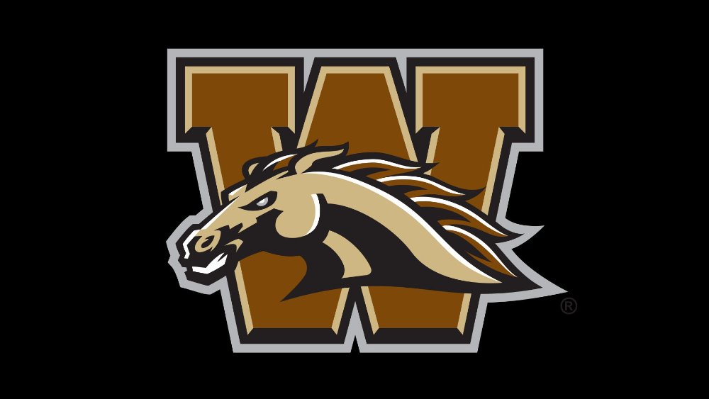 Western Michigan University