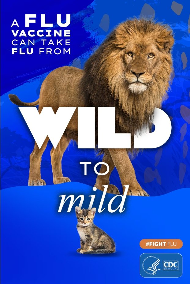 CDC Flu picture, wild to mild
