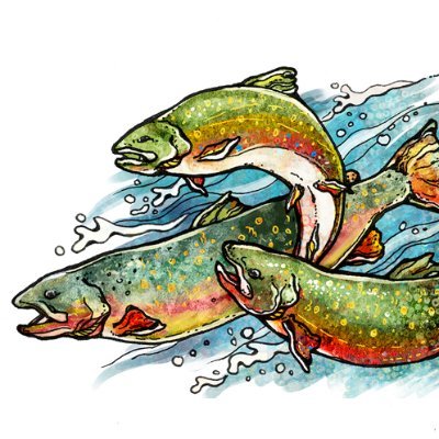 Trout painting in water