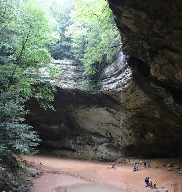 A cliff with trees at the top