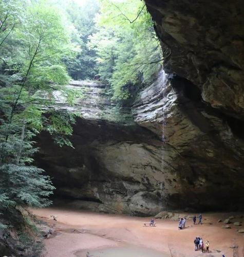 A cliff with trees at the top