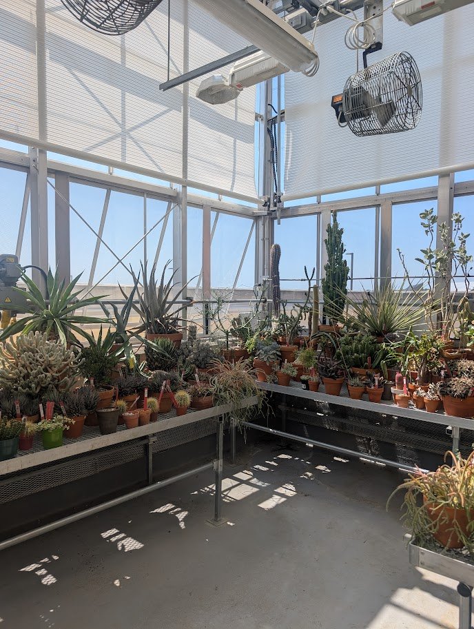 Image of  Greenhouse filled with arid and succulent plants