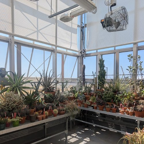 Image of  Greenhouse filled with arid and succulent plants
