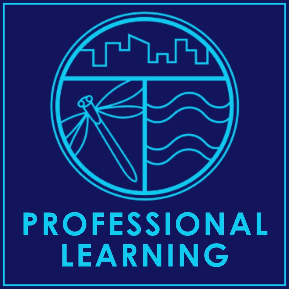 Blue background with Groundswell logo and the words "professional learning"