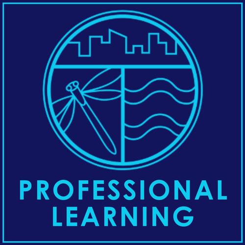Blue background with Groundswell logo and the words "professional learning"