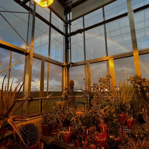 gvsu greenhouse with rainbow