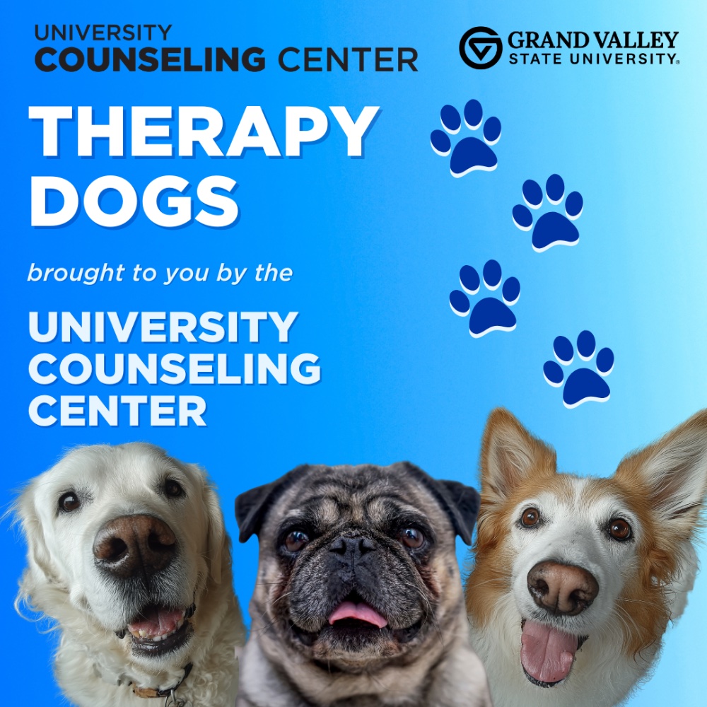 Therapy Dogs brought to you by the University Counseling Center