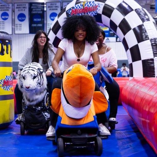girl riding on rideable machine animal