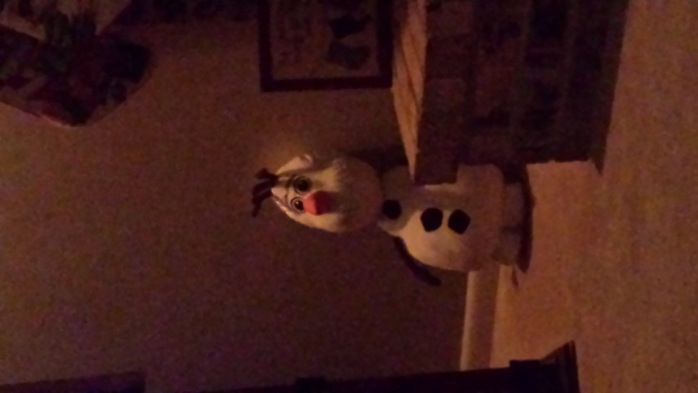 Haworth Engineering 3rd co-op