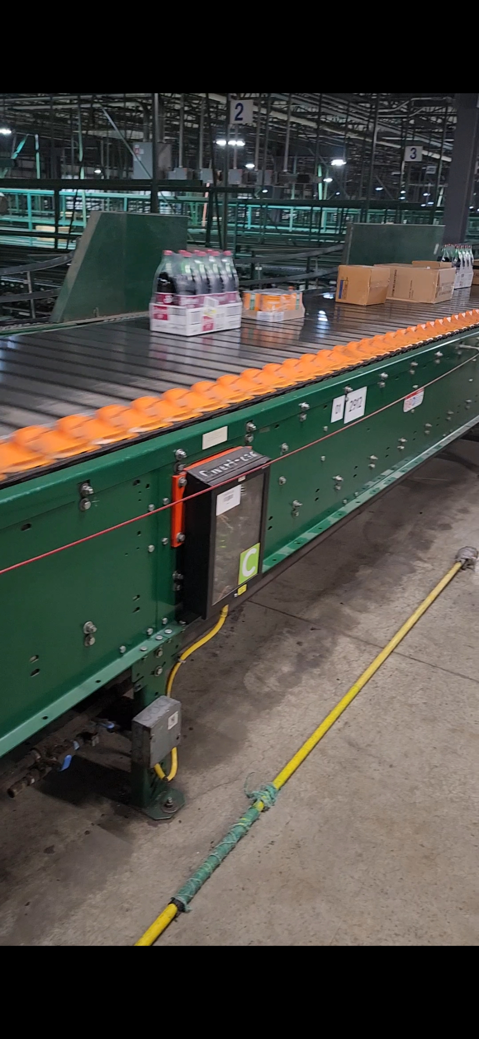 The First Steps of my Career: Finding Passions and Opportunities