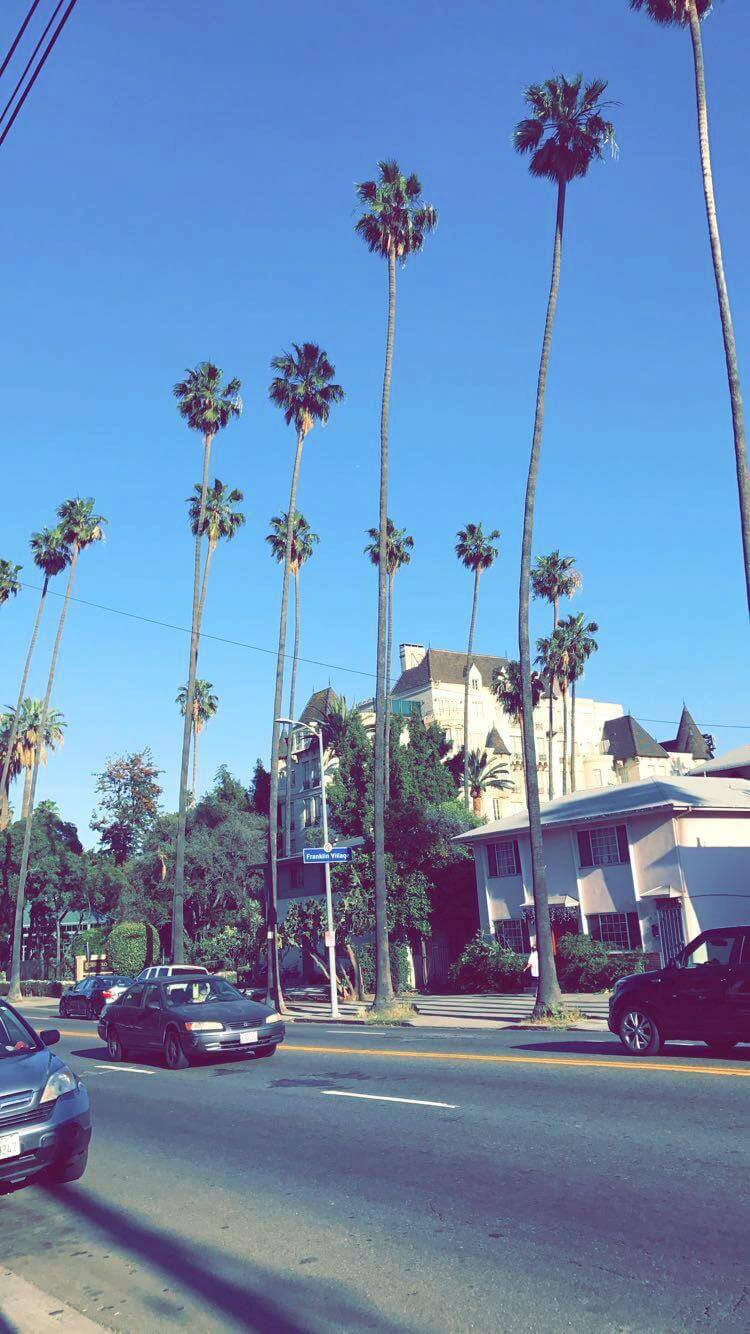 Jena Weir Sales Internship