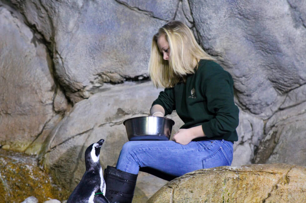 John Ball Zoo Marketing and Social Media