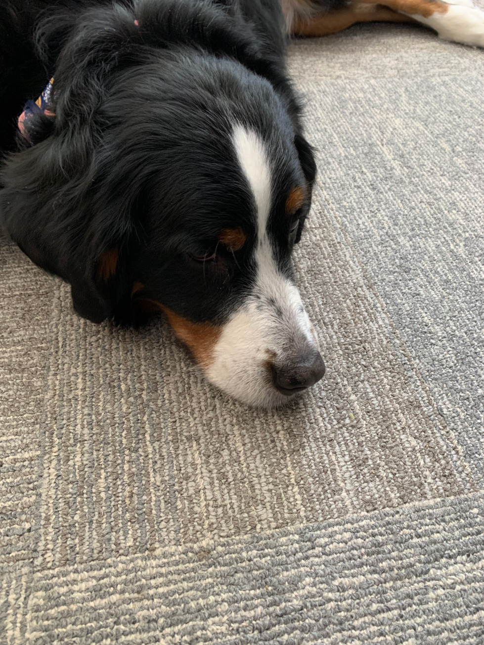 Fostering Sobriety in Grand Rapids