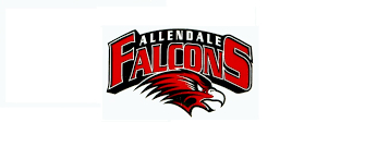 Internship at Allendale Public Schools