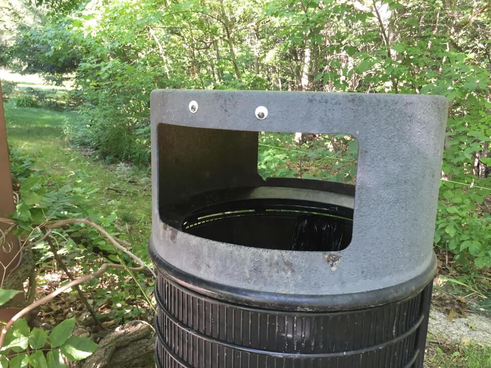 Interning for The Black Sheep