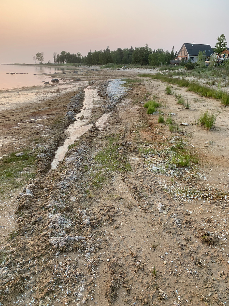 shoreline with tire tracks from ORVs