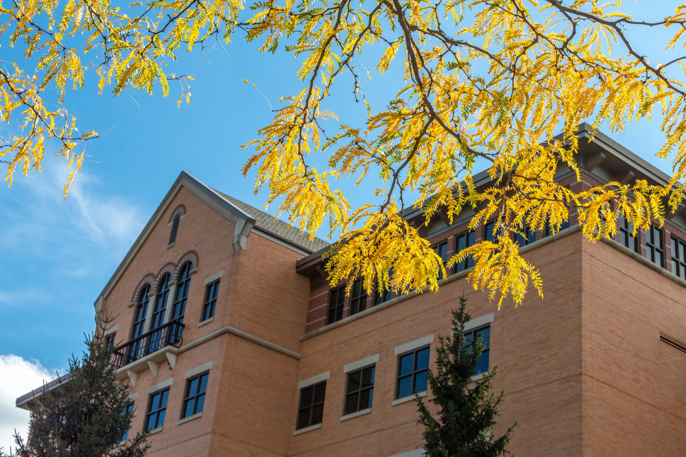 brick building with tree leaves, in fall colors, in front