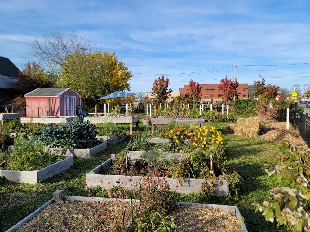 community garden with raised garden beds