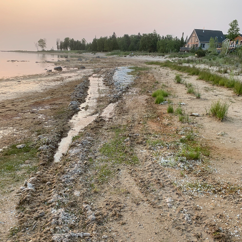 shoreline with tire tracks from ORVs