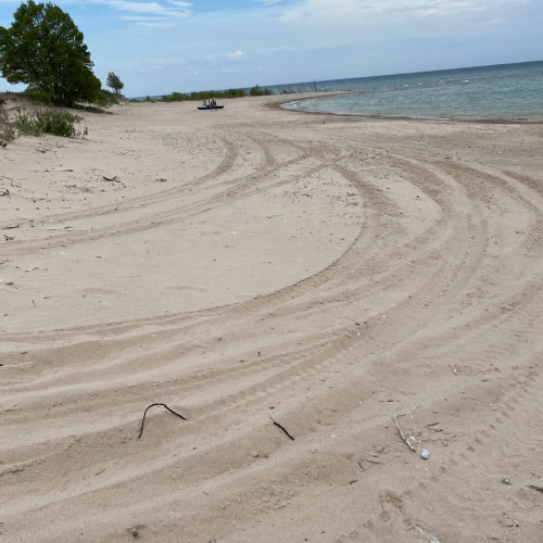 tire tracks on sand near shoreline of lake
