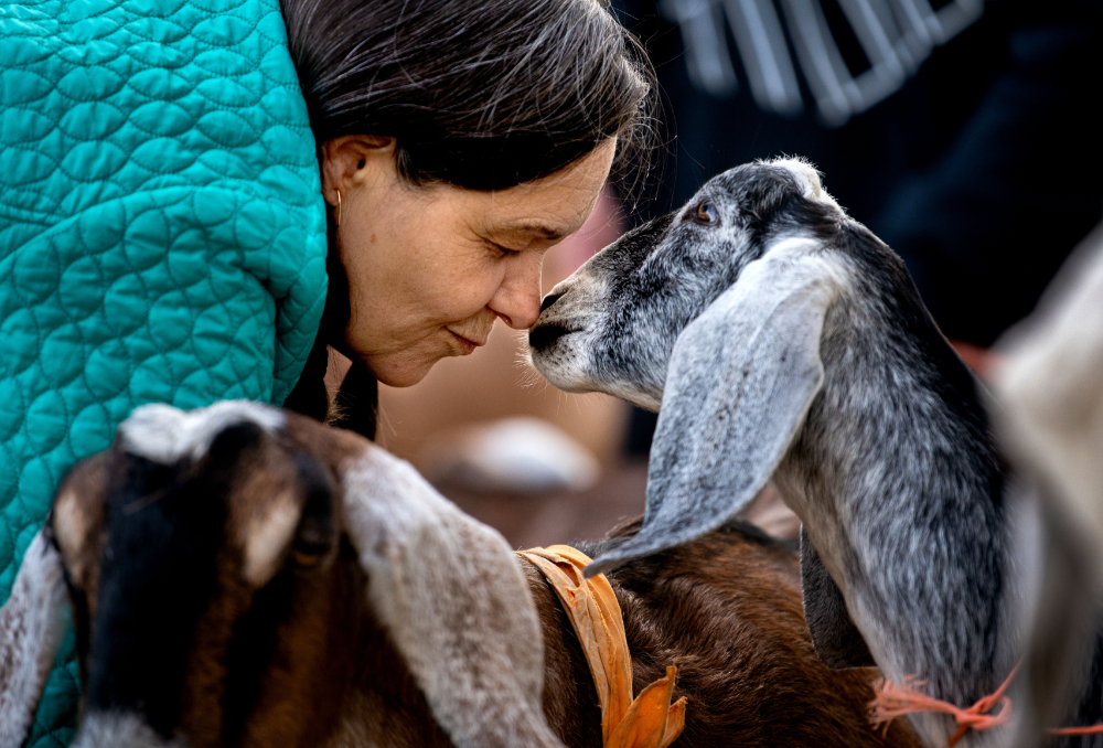 woman nuzzles goat