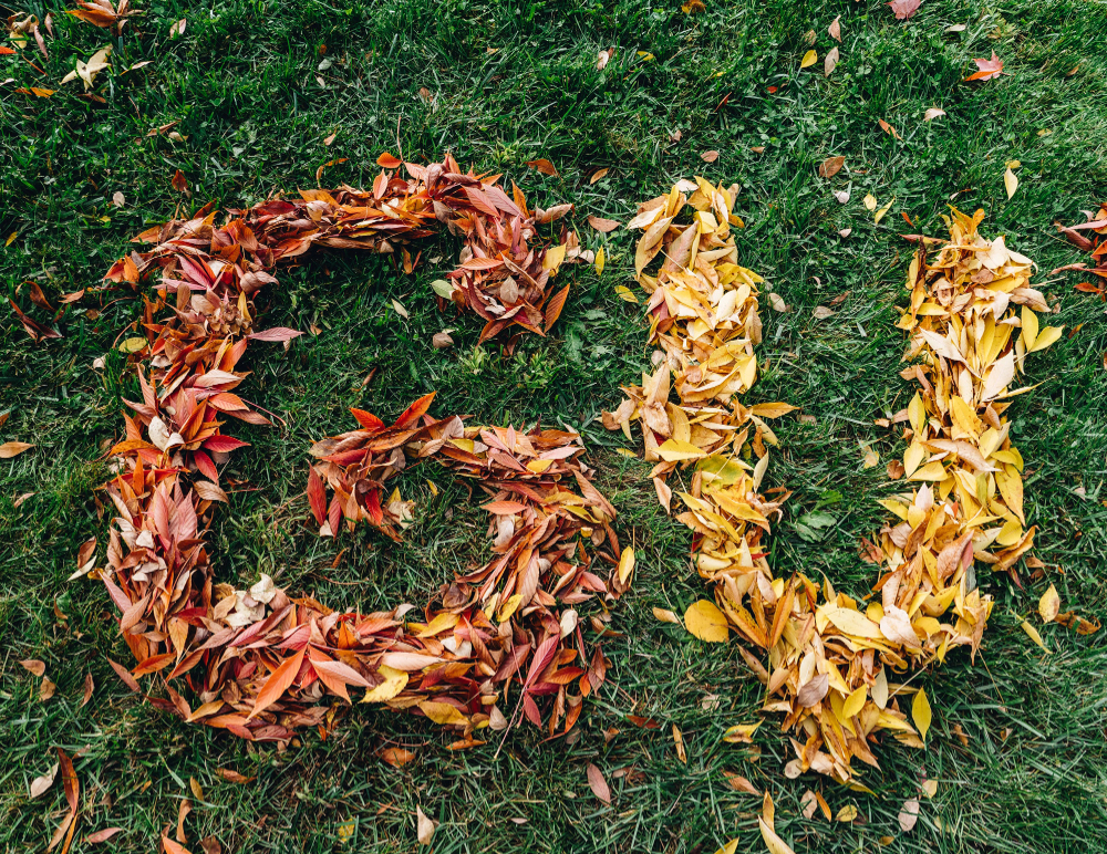 fall leaves on the green grass in shape of G, V