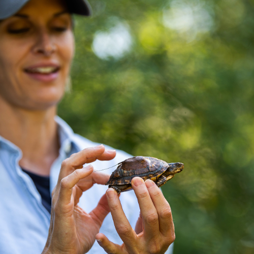 woman holding small turtle