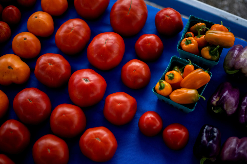 pallet of fresh tomatoes and peppers