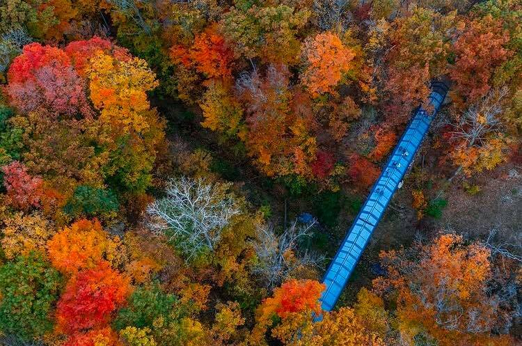 drone photo of the little mac bridge amid colorful fall trees