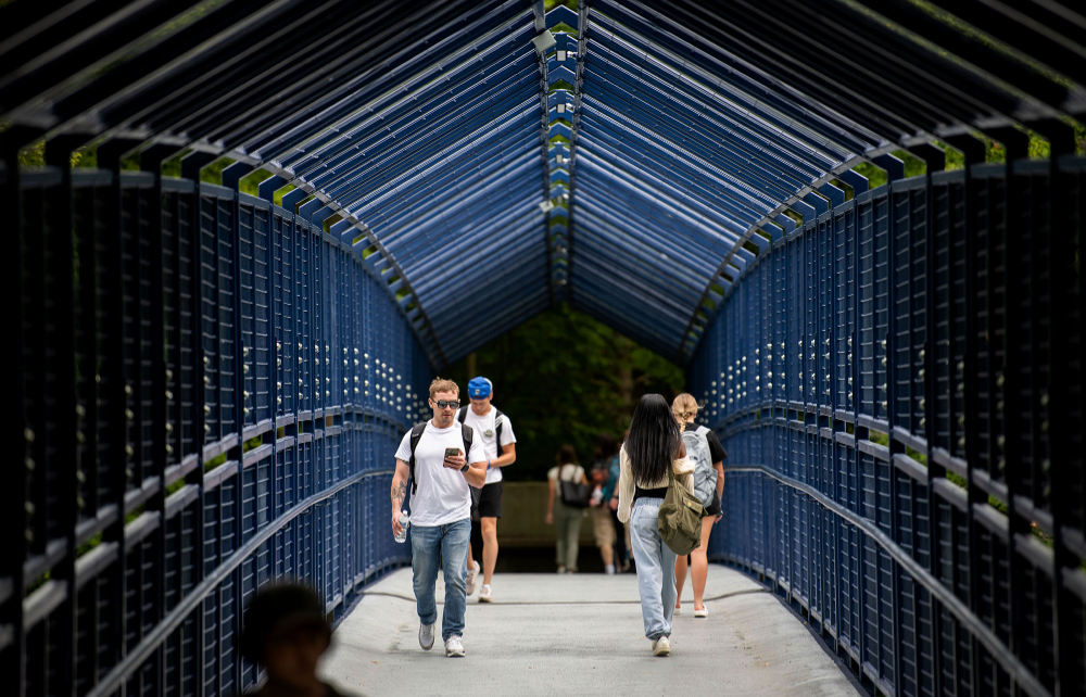 students walked over the Little Mac bridge, which is covered with blue fencing