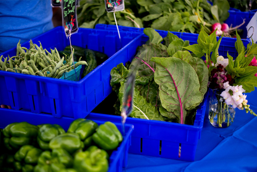 produce in blue bins