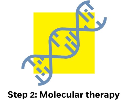 Step 2: Molecular therapy. Icon of a DNA strand.