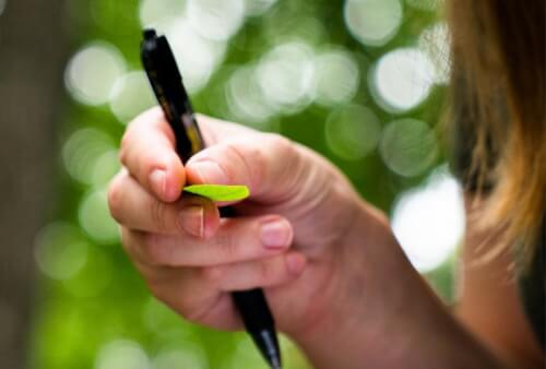 Read article Responding to climate change as educators