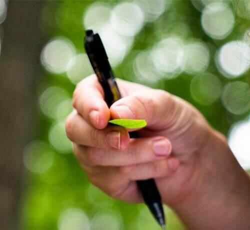 Read article Responding to climate change as educators