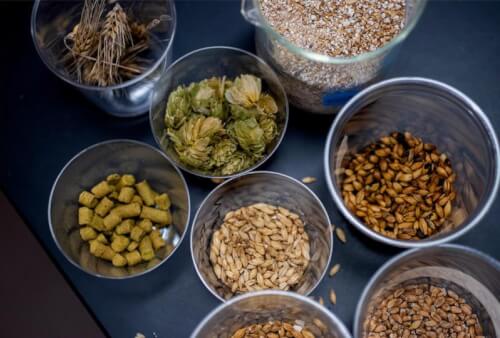 Read article Brewing beer and studying zombies