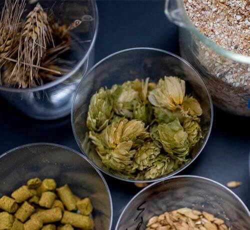 Read article Brewing beer and studying zombies