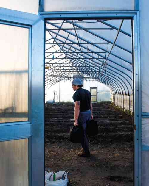 A person carries bags into the hoophouse