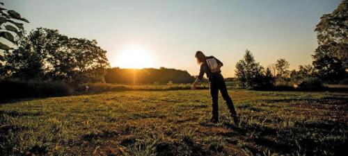 Read article Harvesting Hope