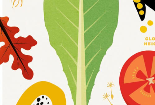 Read article Global Heights Academy Learning Gardens