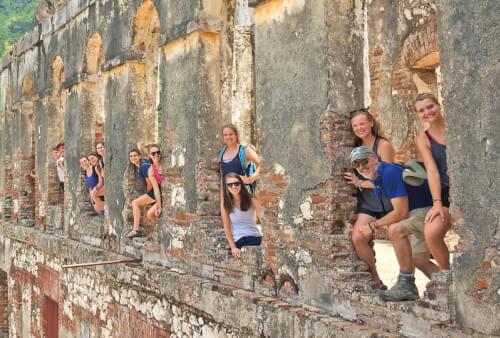 Read article Wandering seeds