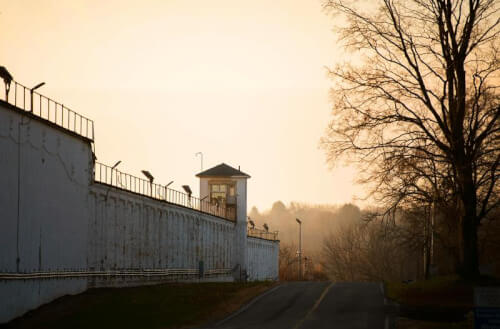 Read article The Toughest Yard