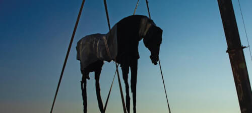 Read article Crane places sculpture from renowned  artist atop Health Campus building