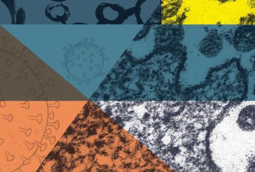 Read article The academic approach to COVID-19