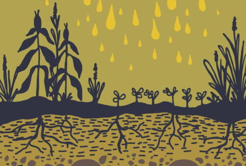 Read article AWRI partners with Project Clarity