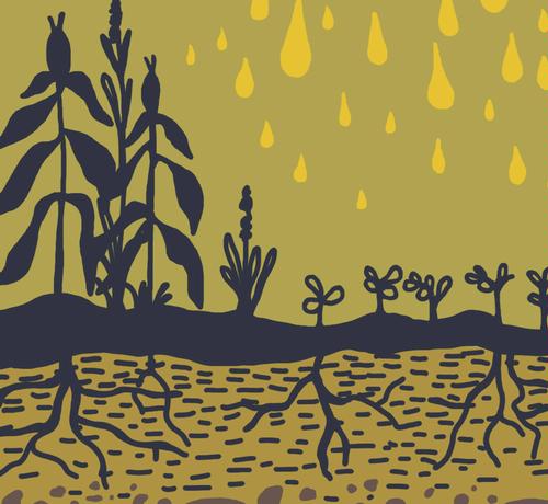 Read article AWRI partners with Project Clarity