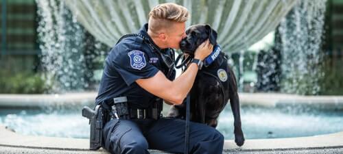 Read article On the job with Koda