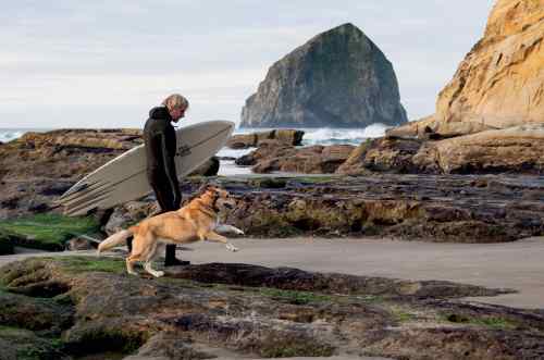 Ben Moon walks on the shore in his wet suit carrying a surf board while his dog walks and jumps by his side